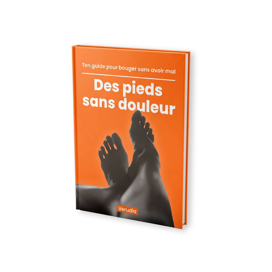 Ton guide offert avec chaque commande